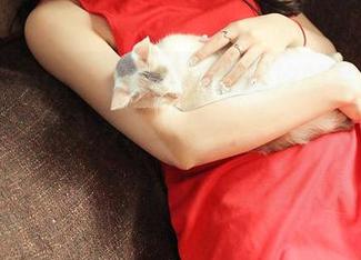 QingDouKe青豆客 – 颜美汐的写真，灰丝是不是让人有点恍惚？看多了我快迷失了！