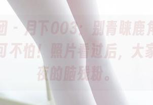森萝财团 – 月下003：别青睐鹿角，但我的深灰可不怕！照片看过后，大家都是小夜的脑残粉。